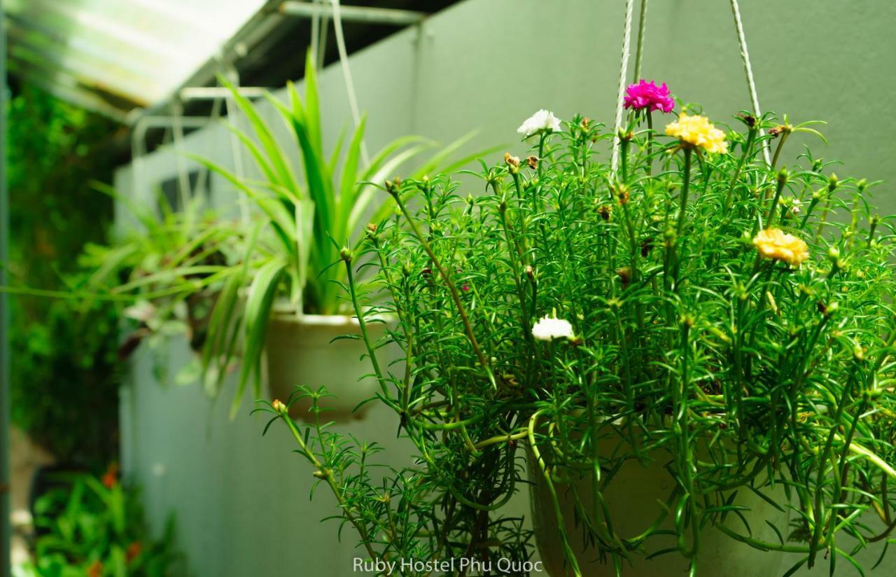 Ruby Phu Quoc Hostel Luaran gambar